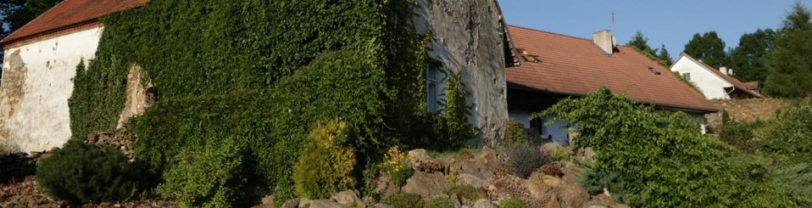 ukázky skalek v našem areálu